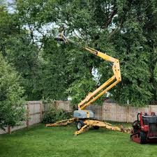 Best Tree and Shrub Care  in Fitchburg, WI