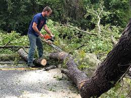 Leaf Removal in Fitchburg, WI